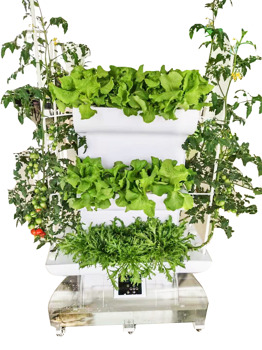 陽臺(tái)蔬菜種植機(jī)